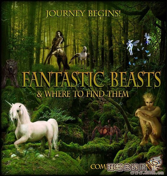 神奇动物在哪里小说跟电影有联系吗？神奇动(神奇动物在哪主角)