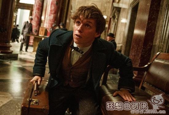 神奇动物在哪里小说跟电影有联系吗？神奇动(神奇动物在哪主角)