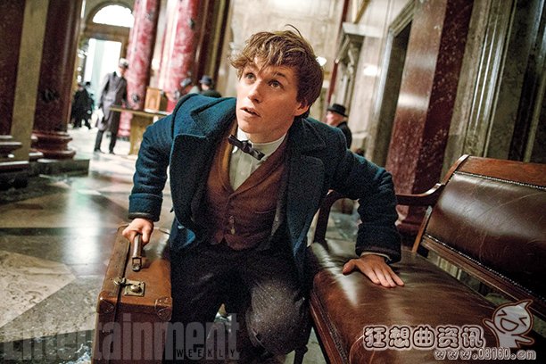 神奇动物在哪里小说跟电影有联系吗？神奇动(神奇动物在哪主角)