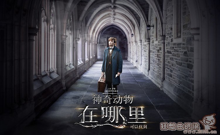 神奇动物在哪里小说跟电影有联系吗？神奇动(神奇动物在哪主角)