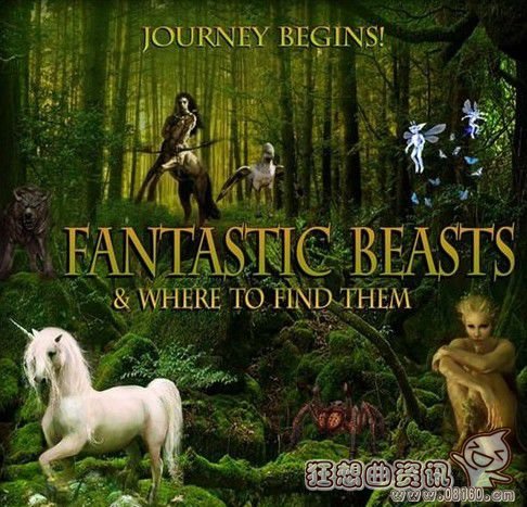 神奇动物在哪里小说跟电影有联系吗？神奇动(神奇动物在哪主角)