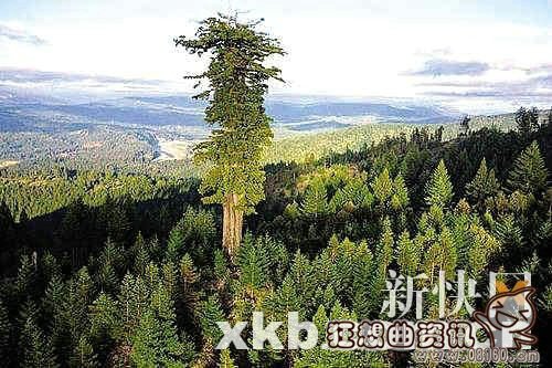 阿凡达特效制作方法详细分析(《阿凡达》特效) 阿凡达特效制作方法详细分析(《阿凡达》特效)