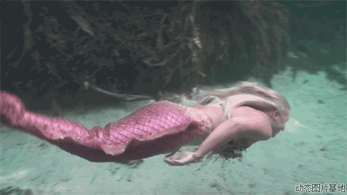 三生三世鲛人真的存在吗？鲛人就是美人鱼吗(鲛人族三生三世)