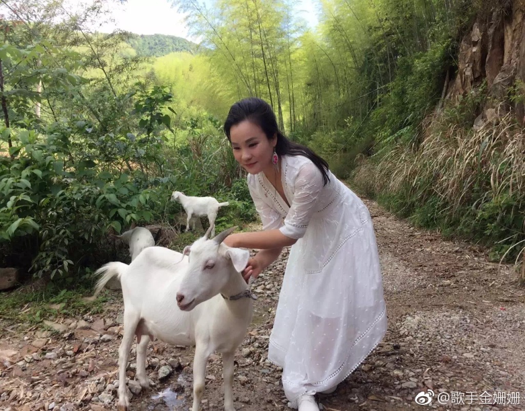 歌手金姗姗那年出生(歌手袁姗姗简历) 歌手金姗姗那年出生(歌手袁姗姗简历)