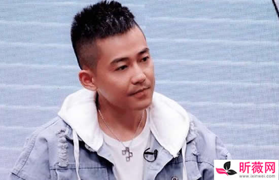 苏醒个人资料，魏晨的个人资料简介(魏晨苏醒长得像)