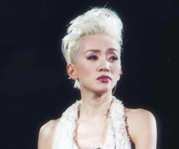 梅艳芳个人资料，梅艳芳最后一场演(梅艳芳生前最后一幕)