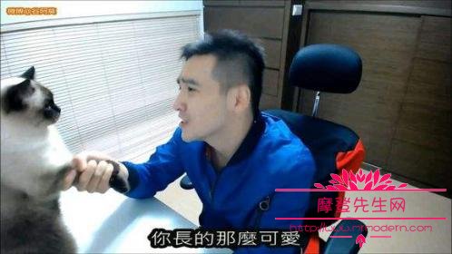 谷阿莫不更新是因为被告了吗?谷阿莫一年可 谷阿莫不更新是因为被告了吗?谷阿莫一年可