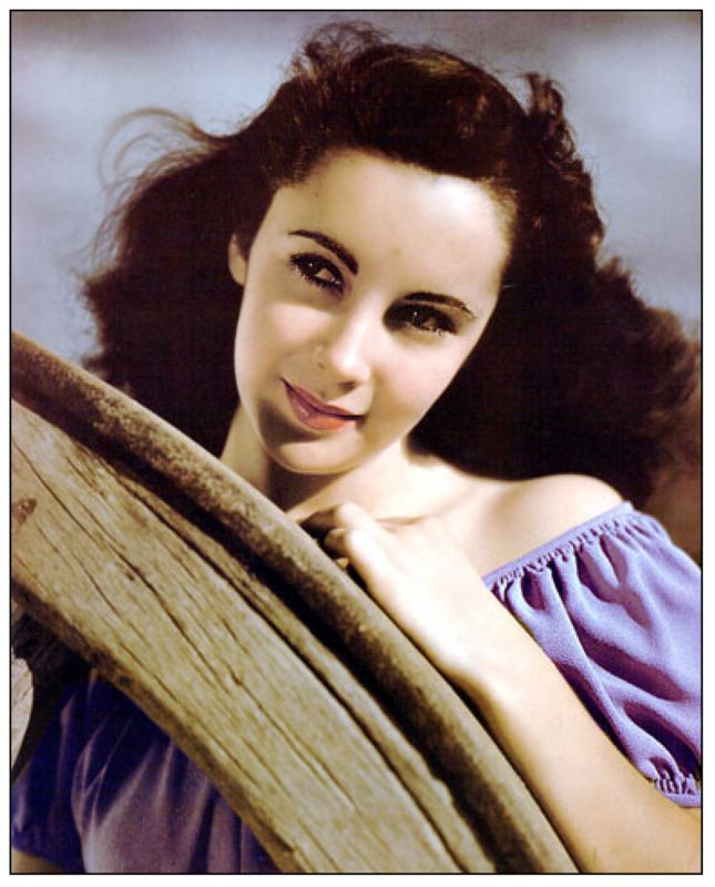 伊丽莎白奥尔森的事业线照片