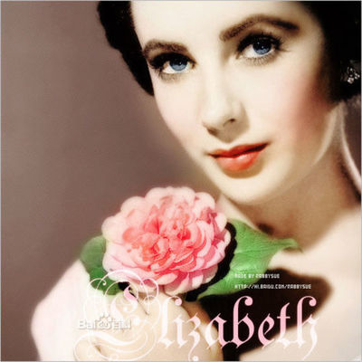 伊丽莎白奥尔森的事业线照片