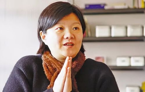 洪晃简介,洪晃是谁(洪晃是干嘛的)