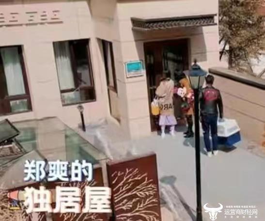 演员郑爽，大郑爽和小郑爽哪个漂亮(郑爽还是挺漂亮的)