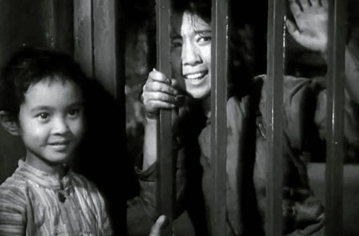 演员方舒近况,杨舒哪年出生(电影演员方舒是几几年出生的) 演员方舒近况,杨舒哪年出生(电影演员方舒是几几年出生的)