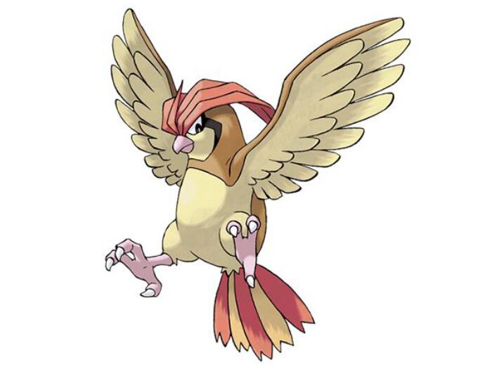 周柏豪为什么叫备胎豪、比比鸟