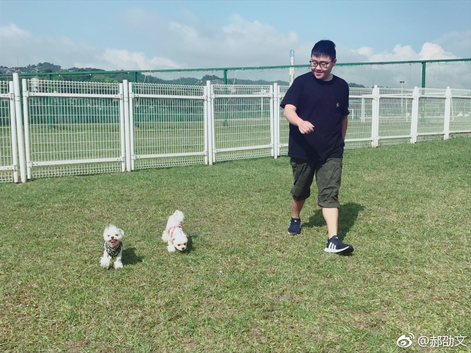 郝劭文现状如何？郝劭文小时候和长大后发差