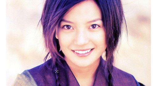 赵薇主演的电影,刘嘉玲梁朝伟主演(赵薇梁朝伟王菲演的电影作品) 赵薇主演的电影,刘嘉玲梁朝伟主演(赵薇梁朝伟王菲演的电影作品)