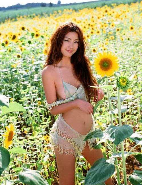 藤本敏史木下优树菜是怎么在一起的