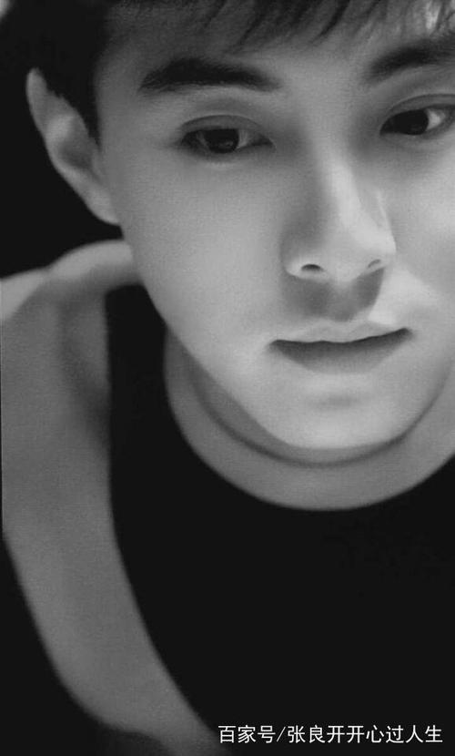 张卫健资料，张卫健简历(张卫健 资料)