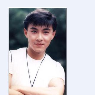 张卫健资料，张卫健简历(张卫健 资料)