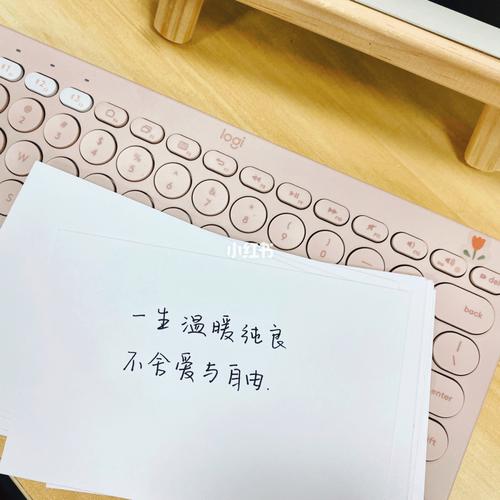 高晓松女儿照片，夕又米高晓松(高晓松前妻夕又米个人简历)