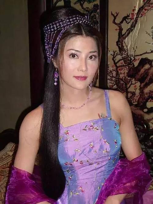 杨丽菁主演的电视剧,杨丽菁所有古(杨丽菁演的古装剧)