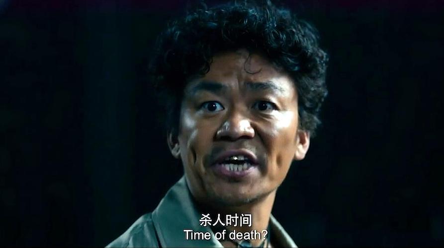 王宝强主演电影全集，徐峥王宝强电(王宝强和徐峥电影全集)