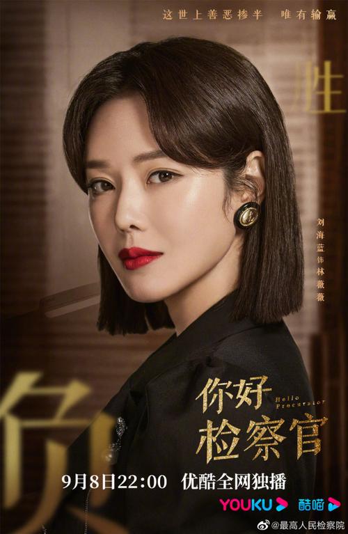 你好检察官演员表，检察官中徐帆扮(你好检察官主角是谁)