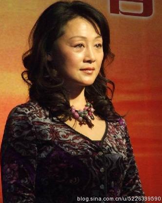 王姬主演的电视剧,王姬参演的电视(王姬主演的电视剧大全)