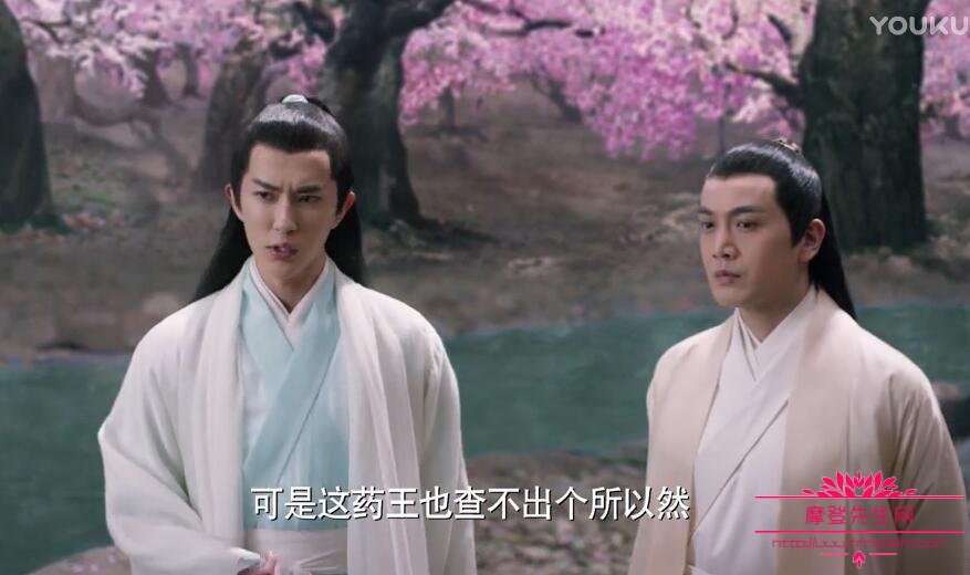 三生三世西海大皇子叠雍得病原是墨渊魂魄附