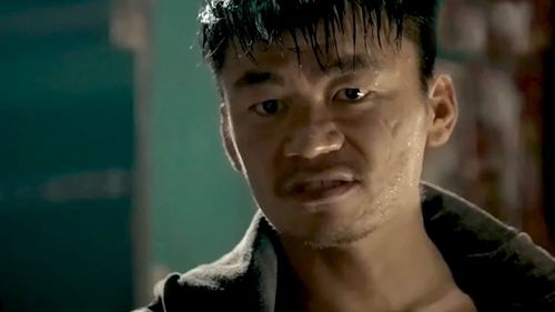 王宝强主演的电影，王宝强电影追凶(《追凶》王宝强)