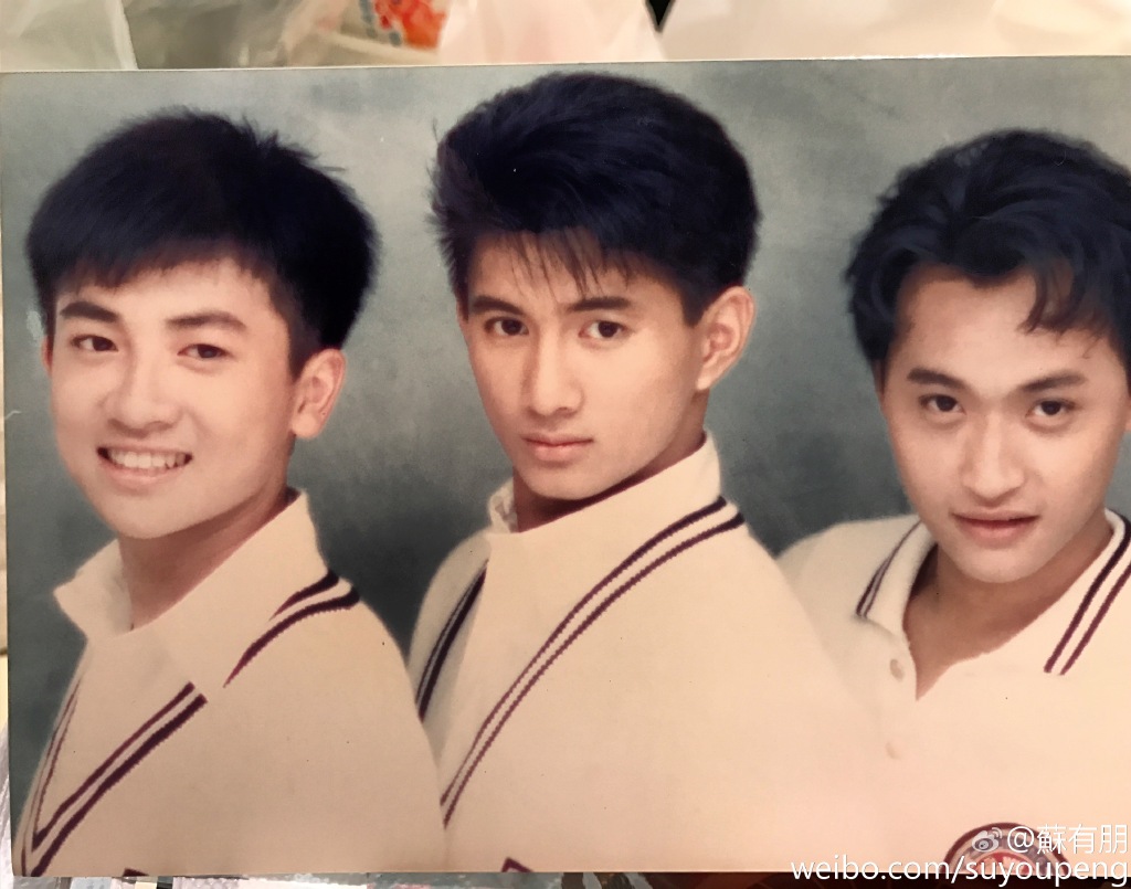 苏有朋鼻子太宽越来越丑？他如果整一下鼻子