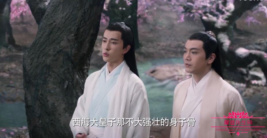 三生三世西海大皇子叠雍得病原是墨渊魂魄附