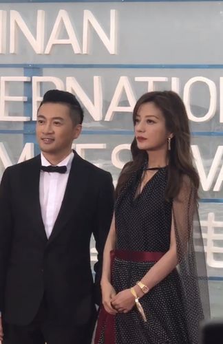 赵薇苏有朋结婚，杨幂豪宅(赵薇苏有朋去年年底结婚了)