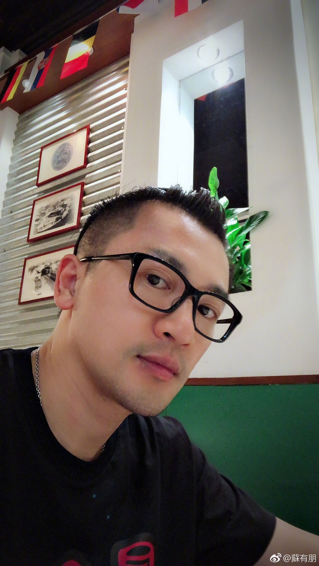 苏有朋鼻子太宽越来越丑？他如果整一下鼻子