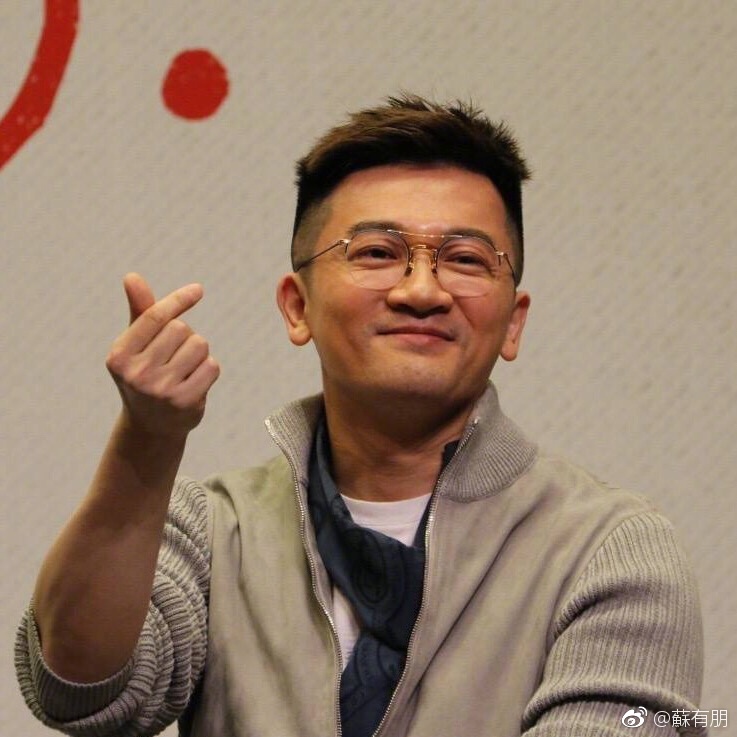 苏有朋鼻子太宽越来越丑?他如果整一下鼻子