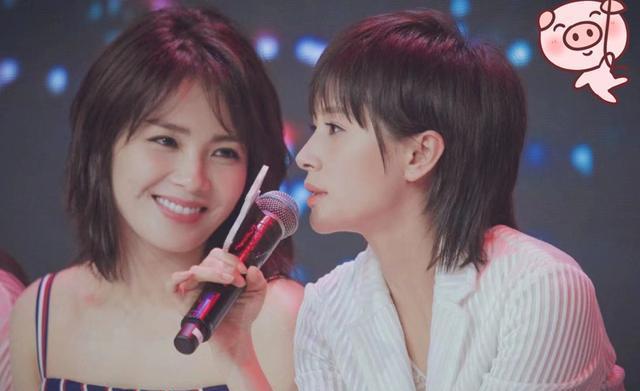 王子文性感低胸装 元宇