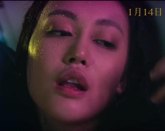 鸭王演员表，野鸭子全部演员表介绍(野鸭子所有演员表)