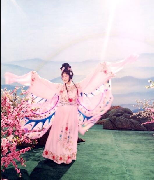 李胜素为什么不出场不怎么露面了 李胜素为什么不出场不怎么露面了