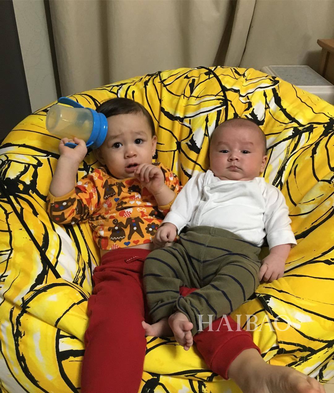 本特利是试管婴儿宝宝吗(本特利是剖腹产吗)