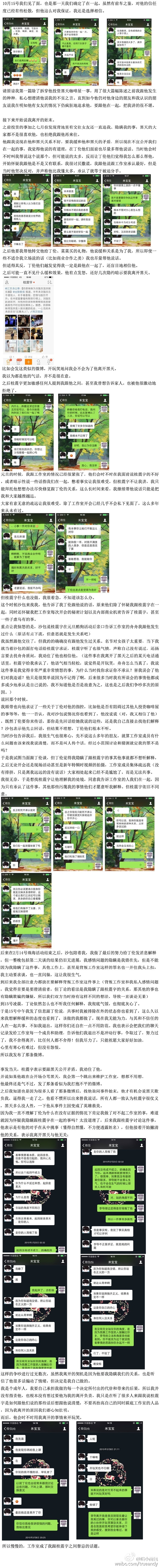 桂震宇假琴事件是怎么回事