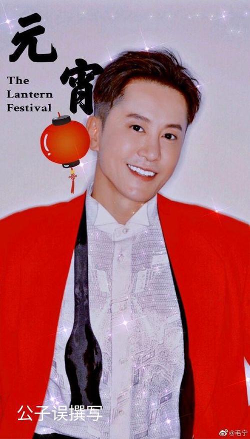 毛宁事件，毛宁现状(毛宁出什么事了)