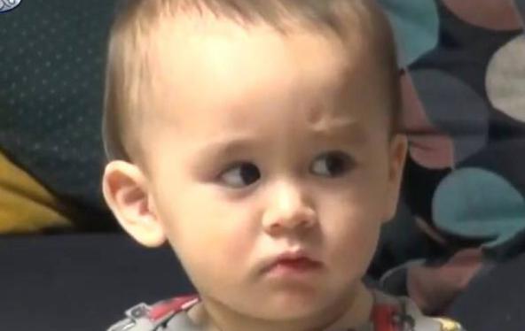 本特利是试管婴儿宝宝吗(本特利是剖腹产吗)