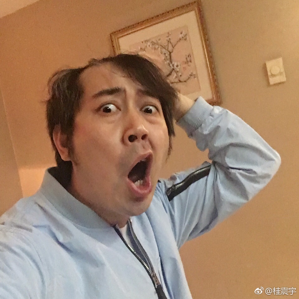 桂震宇假琴事件是怎么回事