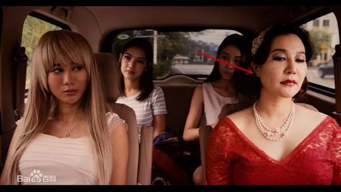 演员安娜金，安娜个人资料简介(安娜资料个人资料)