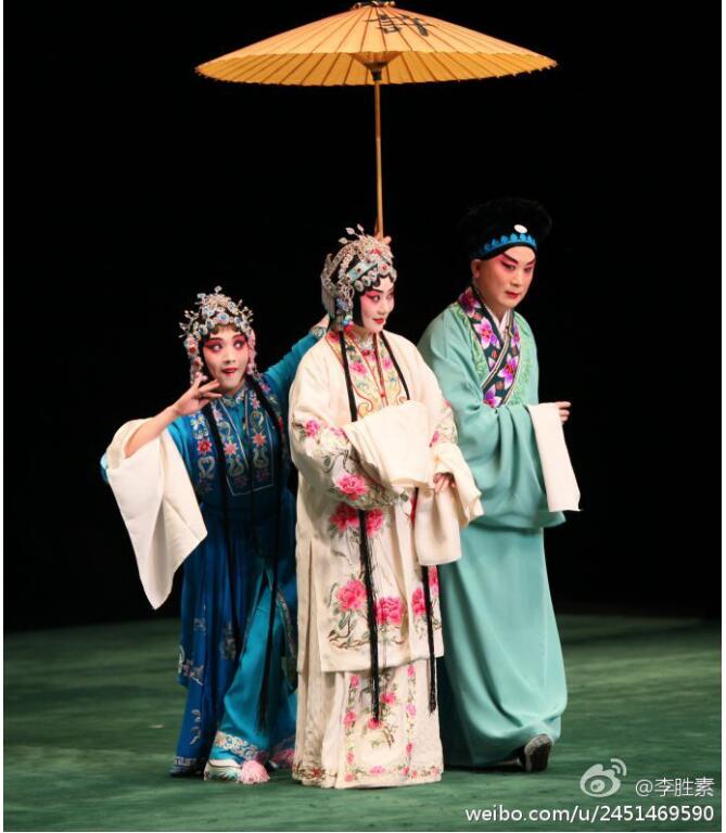 李胜素为什么不出场不怎么露面了 李胜素为什么不出场不怎么露面了