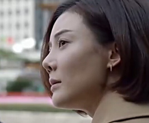 车晓的妈妈王丽云照片(王丽云的女儿车晓) 车晓的妈妈王丽云照片(王丽云的女儿车晓)