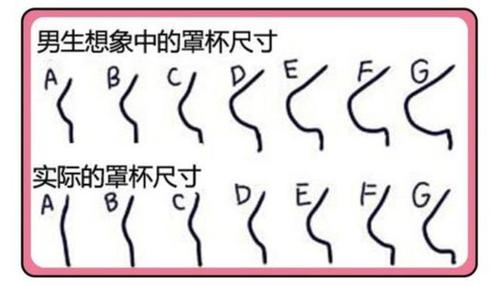 萧蔷的胸,萧蔷有多美(萧蔷胸凸点)