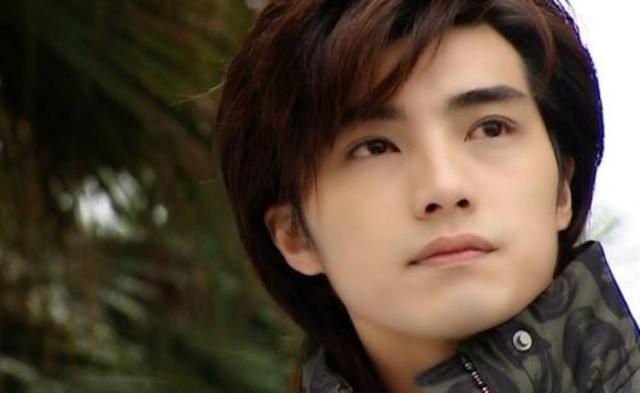 台湾男星,香港十大美男(香港十大美男明星)