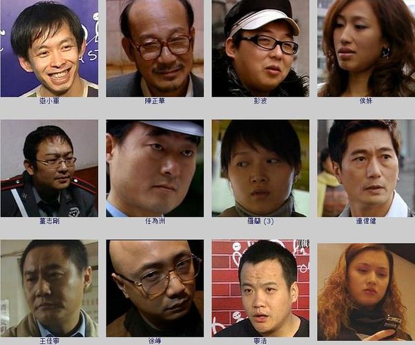 疯狂的石头主演是谁,疯狂的石头演(疯狂的石头 导演是谁)