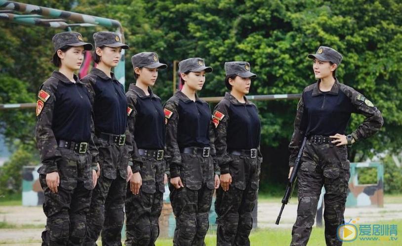 利刃出击的演员,电视剧擒狼演员表(擒狼电视剧全部演员)