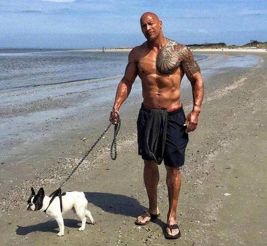 明星脑力排行榜,娱乐男明星人气排(明星男明星排名) 明星脑力排行榜,娱乐男明星人气排(明星男明星排名)